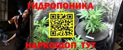 ECSTASY Кунгур