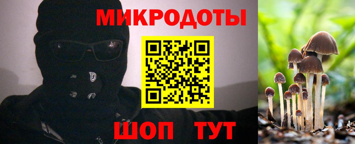 Псилоцибиновые грибы прущие грибы  Вход с VPN  Калач-на-Дону  сколько стоит  Псилоцибиновые грибы GOLDEN TEACHER 